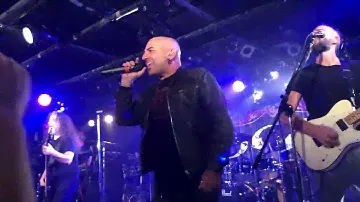 DGM live in Japan 04/11/2024