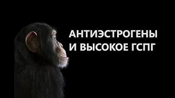 Кломифен Анастразол ГСПГ
