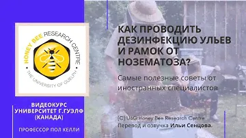 Как проводить дезинфекцию ульев и рамок от нозематоза? (Канада)