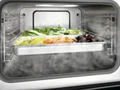 Пароварка Miele T-Lamp DGM 7440 черный обсидан