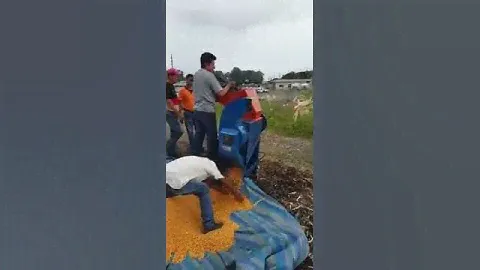 Desgranadora de maíz DGM-100  MAQGRO-Copai
