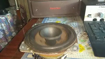 Рупор от 10 ГДШ на 20 ГДС
