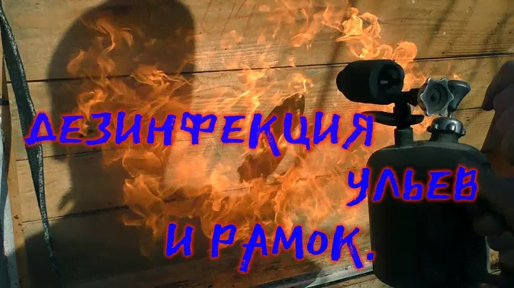 ДЕЗИНФЕКЦИЯ УЛЬЕВ И РАМОК.